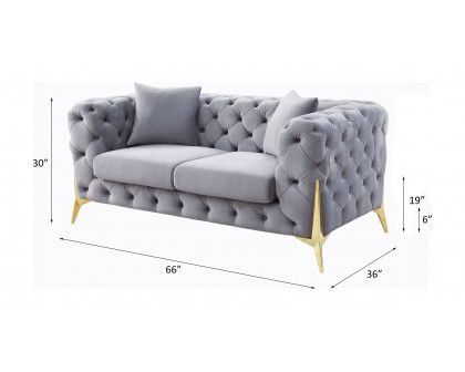 ACME - Jelanea Loveseat with 2 Pillows (Same As Lv01407) in Gray Velvet/Gold