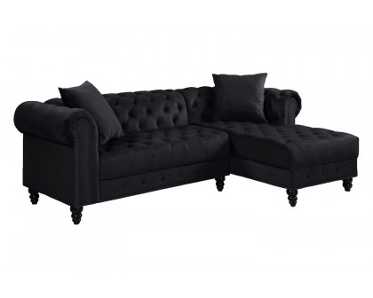 ACME - Adnelis Sectional Sofa with 2 Pillows