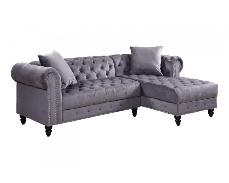 ACME - Adnelis Sectional Sofa with 2 Pillows