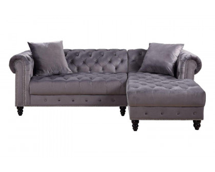 ACME - Adnelis Sectional Sofa with 2 Pillows