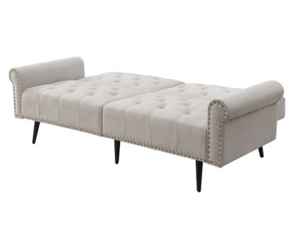 ACME - Eiroa Adjustable Sofa in Beige