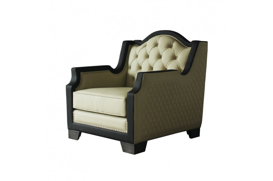 ACME™ House Beatrice Chair with Pillow - Beige /Black/Charcoal