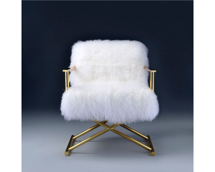 ACME™ Bagley Accent Chair - Wool/Gold Brass