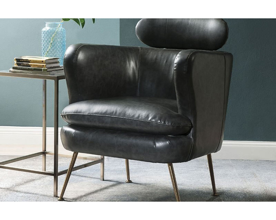 ACME - Phelan Accent Chair in Dark Gray