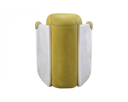 ACME™ Brancaster Accent Chair - Yellow/Aluminum