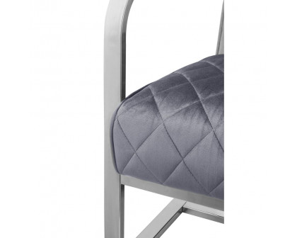 ACME™ Tasmine Accent Chair - Gray Velvet/Chrome