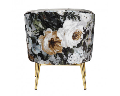 ACME Colla Accent Chair - Black Velvet and Gold