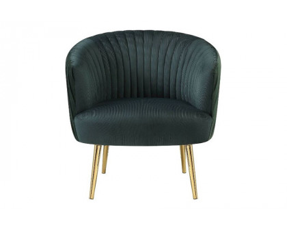 ACME™ Sigurd Accent Chair - Velvet/Gold