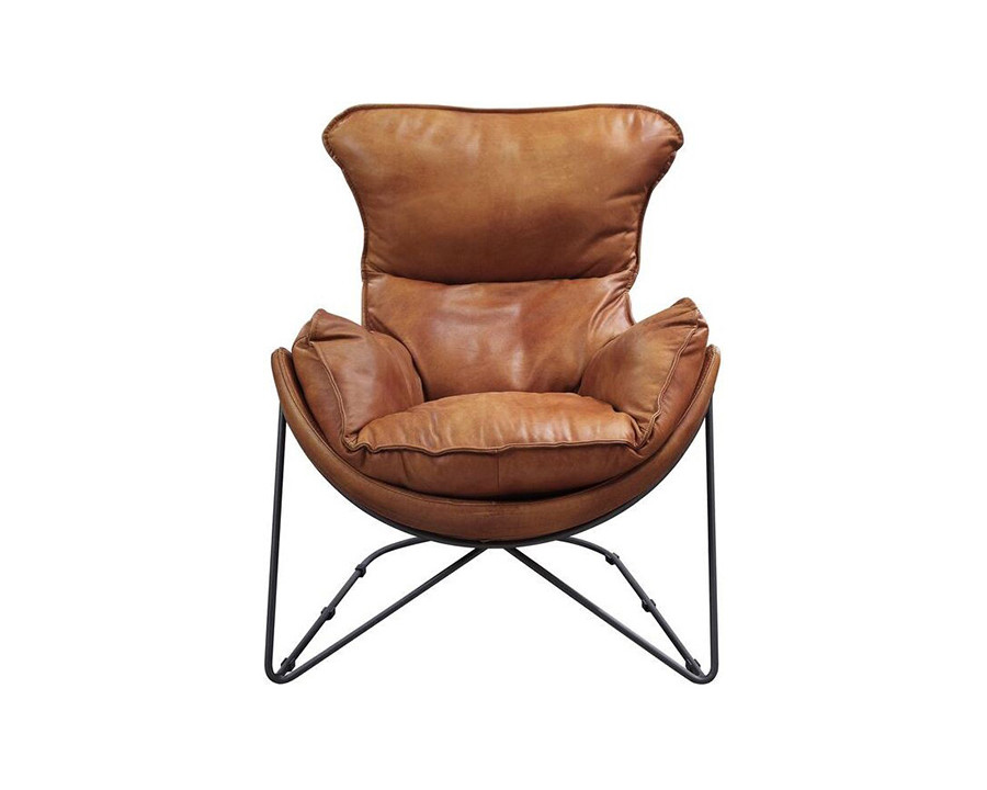 ACME - Thurshan Accent Chair in Aperol/Black