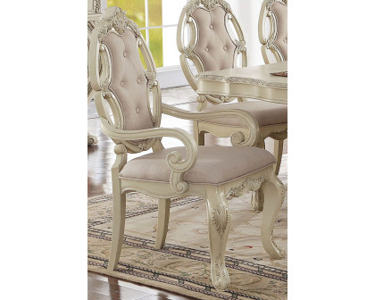 ACME - Ragenardus Arm Chair Set of 2