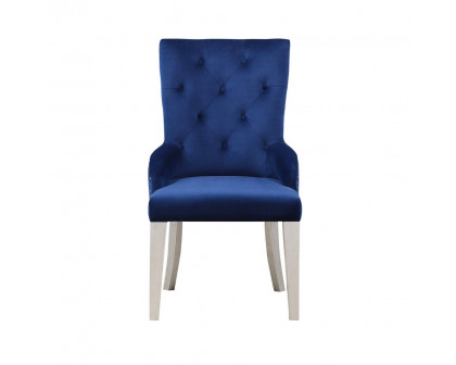 ACME - Varian Side Chair in Blue Antique Platinum