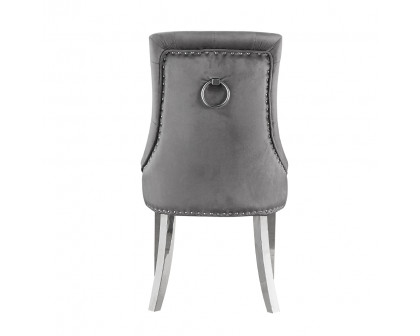 ACME - Satinka Side Chair (Set of 2) in Gray Mirrored Silver