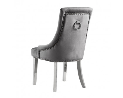 ACME - Satinka Side Chair (Set of 2) in Gray Mirrored Silver