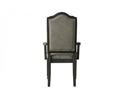 ACME - House Beatrice Arm Chair (Set-2) in Gray/Charcoal