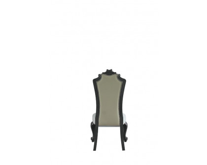 ACME - House Delphine Side Chair (Set of 2) in Two Tone Ivory Beige/Charcoal