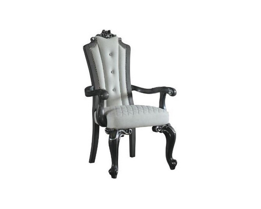 ACME - House Delphine Arm Chair (Set-2) in Ivory/Beige/Charcoal