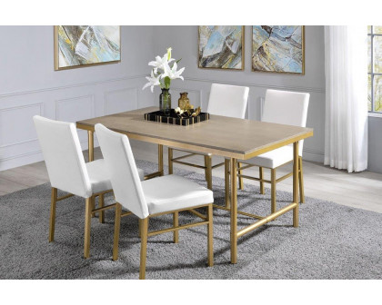 ACME - Entropy 5PC Dining Set in White/Brushed Gold