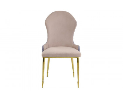 ACME - Caolan Side Chair (Set-2) in Tan/Lavender/Gold