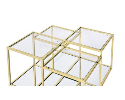 ACME - Uchenna Coffee Table in Clear Glass/Gold