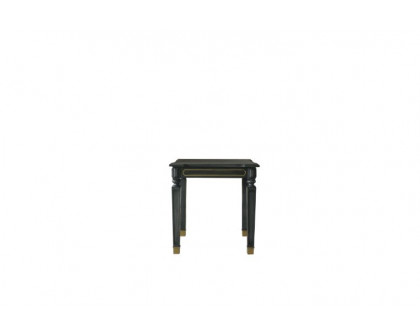 ACME - House Marchese End Table in Gold/Tobacco