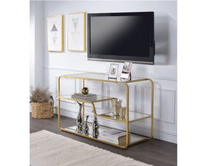 ACME - Astrid TV Stand in Mirrored/Gold