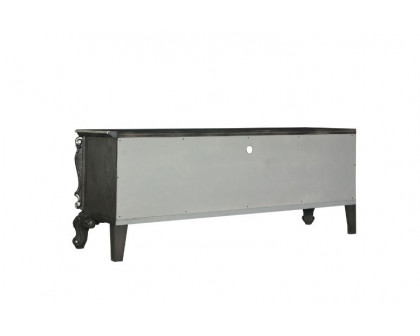 ACME - House Delphine TV Stand in Charcoal