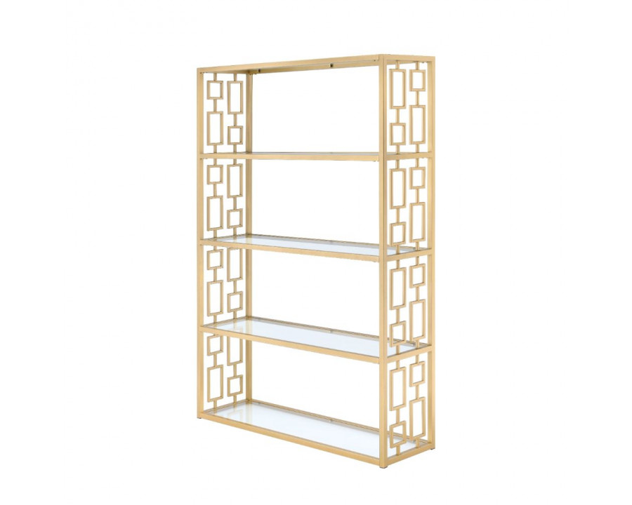 ACME - Blanrio Bookcase in Clear Glass/Gold