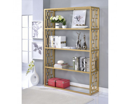 ACME - Blanrio Bookcase in Clear Glass/Gold