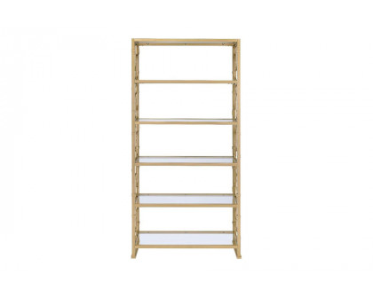 ACME Milavera Bookshelf - Clear Glass/Gold