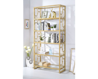 ACME Milavera Bookshelf - Clear Glass/Gold