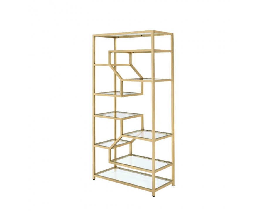 ACME - Lecanga Bookshelf in Clear Glass/Gold