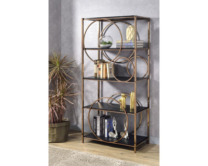 ACME™ Hudice Bookshelf - Black Oak/Champagne