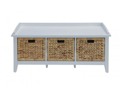 ACME - Flavius Bench with Storage