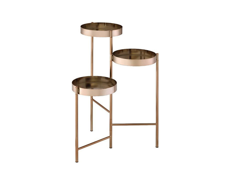 ACME - Namid Plant Stand in Gold