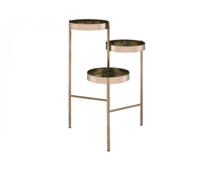 ACME - Namid Plant Stand in Gold