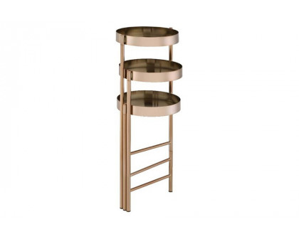 ACME - Namid Plant Stand in Gold