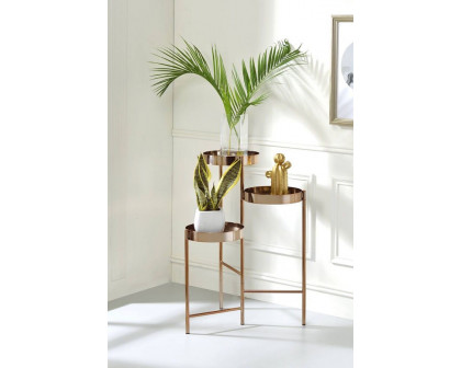 ACME - Namid Plant Stand in Gold