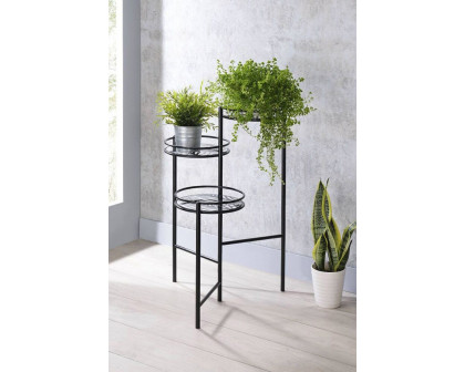 ACME - Namid Plant Stand in Black (97797)