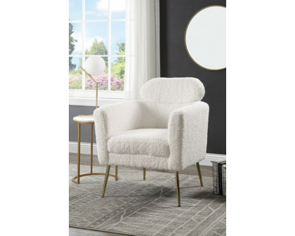 ACME - Connock Accent Chair in White Teddy Sherpa