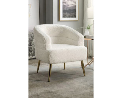 ACME - Trezona Accent Chair in White Teddy Sherpa