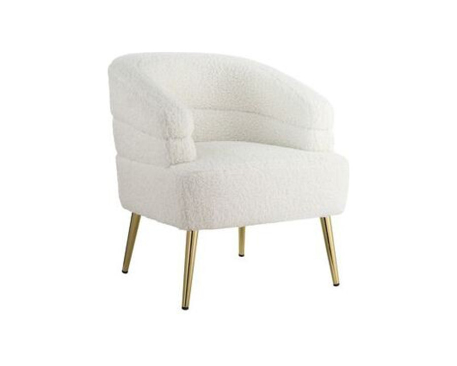 ACME - Trezona Accent Chair in White Teddy Sherpa