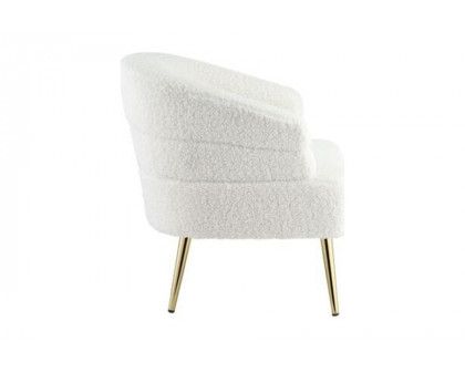 ACME - Trezona Accent Chair in White Teddy Sherpa