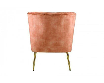 ACME - Sambell Accent Chair in Burnt Orange