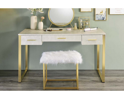 ACME Myles Vanity Set with USB Port - Antique White and Champagne Finish