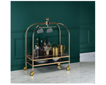 ACME - Bryna Serving Cart in Smoked Glass/Gold