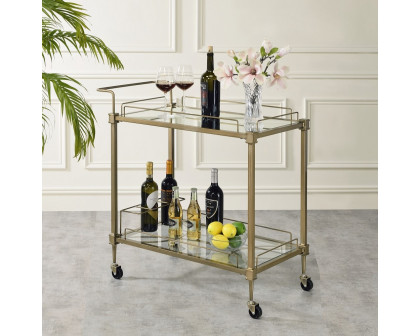 ACME - Aditya Serving Cart in Mirrored/Antique Brass