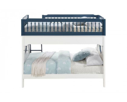 ACME Farah Twin Over Full Bunk Bed - Navy Blue and White Finish