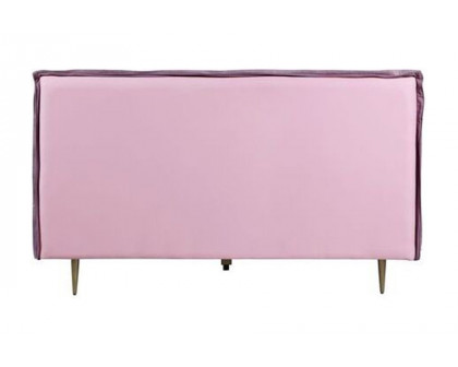 ACME Metis Bed - Pink Top Grain Leather, Queen Size