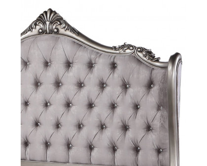 ACME Ariadne Queen Bed - Velvet/Antique Platinum