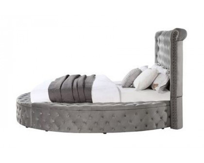 ACME Gaiva Eastern King Bed with Storage - Gray Velvet